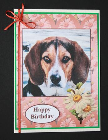 The Beagle by Marion Kimberley-Scott