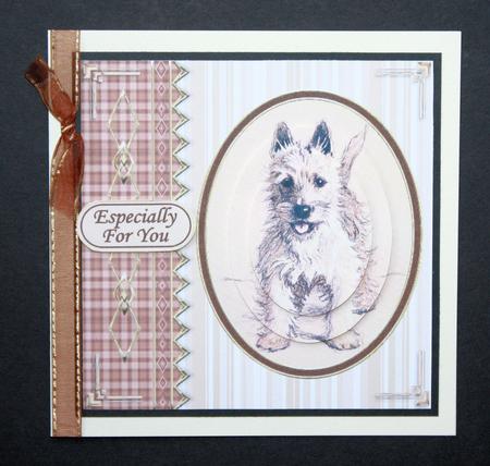 Cute Little Puppy Dog by Marion Kimberley-Scott