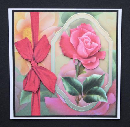 Beautiful Hot Pink Rose 8x8 by Marion Kimberley-Scott