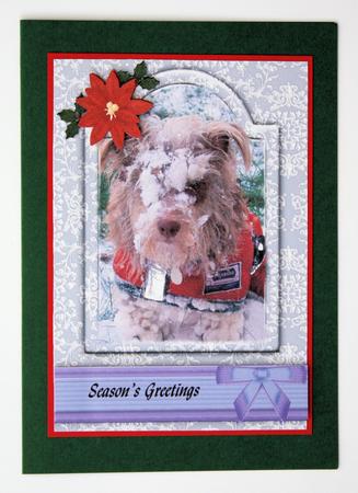 Merry Christmas to My Best Friend by Marion Kimberley-Scott