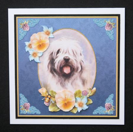 Vintage Dog Thank You 7x7 Purple Cf by Marion Kimberley-Scott