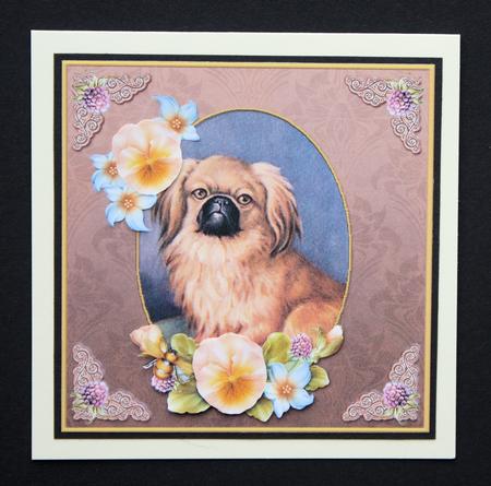 Vintage Dog Someone Special 7x7 Cf by Marion Kimberley-Scott