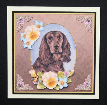 Vintage Dog Retirement 7x7 Tan Cf Featured Gallery Photo