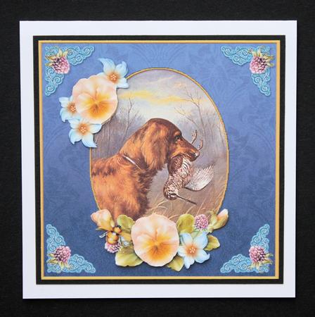 Vintage Dog Congratulations 7x7 Cf by Marion Kimberley-Scott