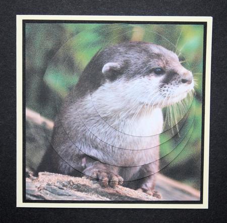 Because We Love Furries - Beautiful Otter + Insert & Tag by Marion Kimberley-Scott