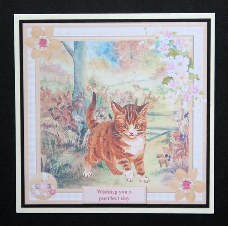 Exploring Kitten Card Topper & Decoupage by Marion Kimberley-Scott