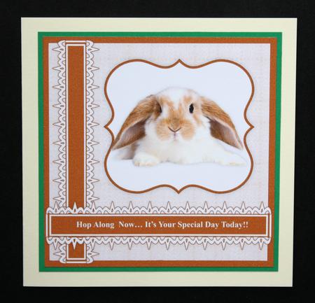 Lop Eared Bunny Rabbit 7" x 7" Card Topper with 5 Greetings by Marion Kimberley-Scott