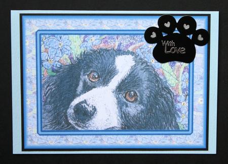 Forget Me Not Border Collie Dog in Floral Frame by Marion Kimberley-Scott