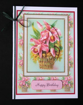 Basket of Orchids by Marion Kimberley-Scott