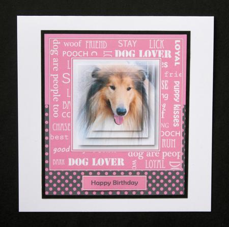 Collie - Dog Lover by Marion Kimberley-Scott