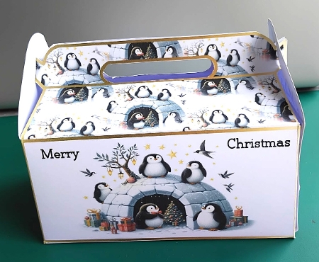 Small gable top boxes 1 penguins by Marion MacKellar