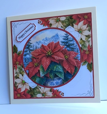Christmas Poinsettia Portrait by Marion MacKellar