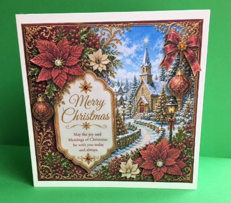 poinsettias at christmas by Marion MacKellar