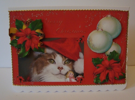 Cute Kittie Wearing Santas Hat by Marion MacKellar