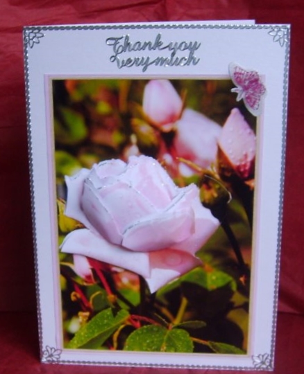 My Rose by Marion MacKellar