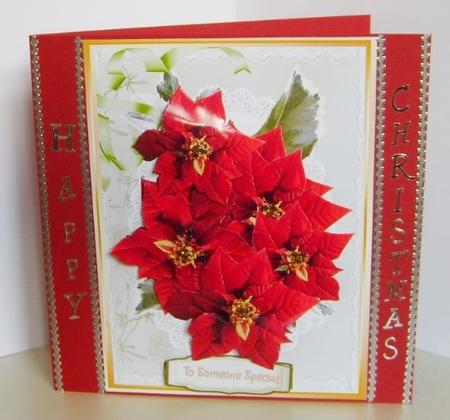 Lovely Christmas Poinsettias by Marion MacKellar