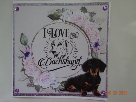 I LOVE MY DACHSHUND 6X6 by Marion West