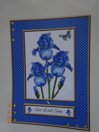 Lovely Watercolor Irises Get Well (Card One) by Marion West