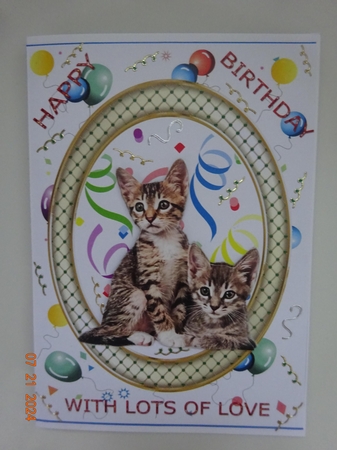HAPPY BIRTHDAY FROM YOUR PETS  4 by Marion West