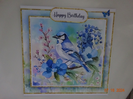 Blue Jay Garden BUNDLE-2 by Marion West