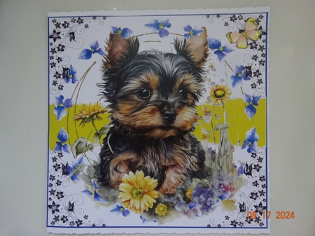PUPPY EYES 10 by Marion West