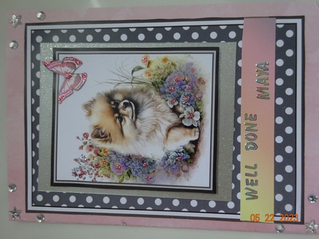 A5 Pomeranian Dog Collection Mini Kit - x6 A4 Sheets  by Marion West