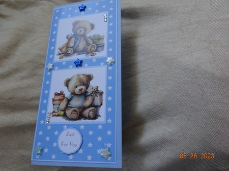 Little Teddies DL Quick Card by Marion West