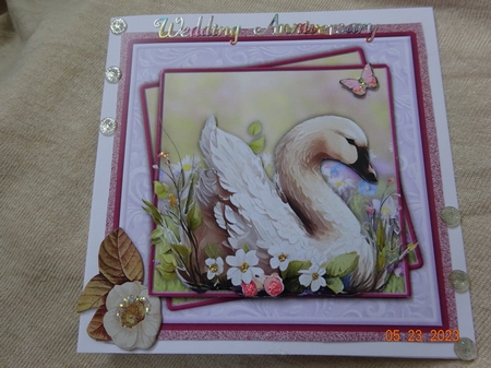 Swan Birthday #4 by Marion West