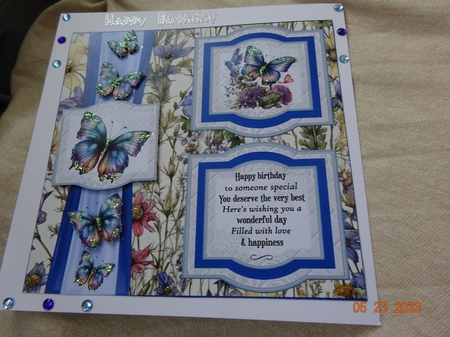 2 Panel blue butterflies card front 3 by Marion West