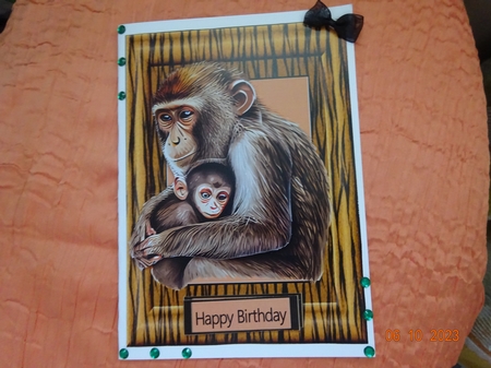 Animal Magic monkey by Marion West