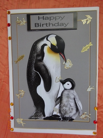 Animal Magic penguins  by Marion West