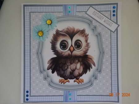 Baby Birds 8x8 Quick Cards #4 by Marion West