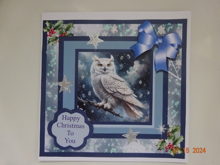 Have a Hoot this Christmas by Marion West
