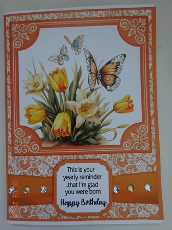 6x6 and 5x7 Orange floral butterfly card fronts by Marion West