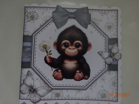Cute Chimp by Marion West