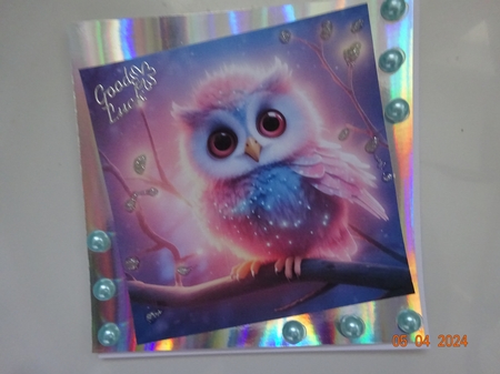 Glowy Owl Mix 5 by Marion West