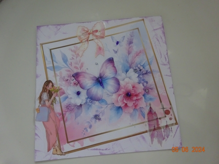 6x6 Butterfly Frames / Mats  - x6 PNG  by Marion West