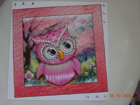 Pink owl Birthday card front by Marion West