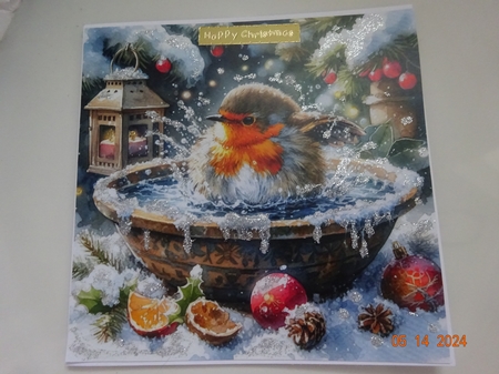 Robins in a bird bath Set 2 by Marion West