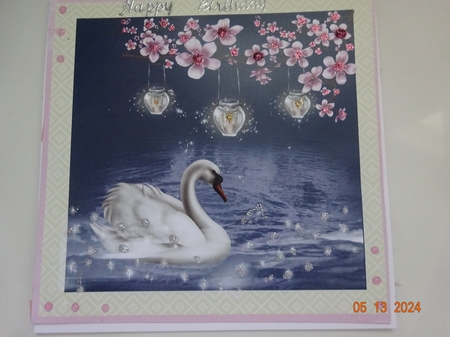 Swan - serenity by Marion West
