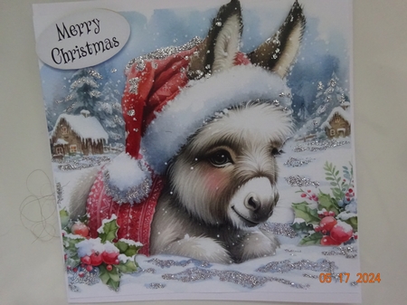 Chilly Donkey by Marion West
