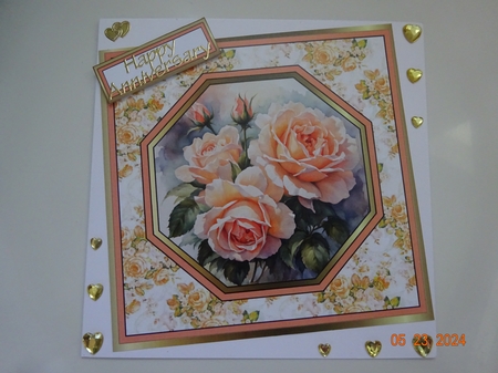 Bumper pack Octagon rose designs by Marion West