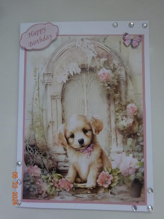 Puppy in the Courtyard by Marion West