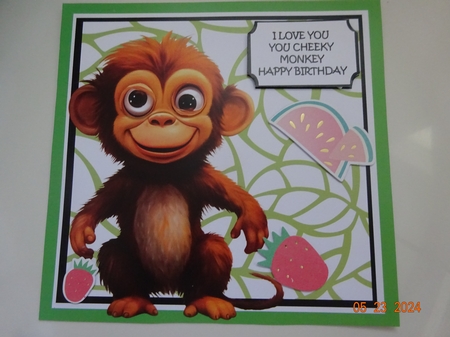 HAPPY BIRTHDAY YOU CHEEKY MONKEY by Marion West