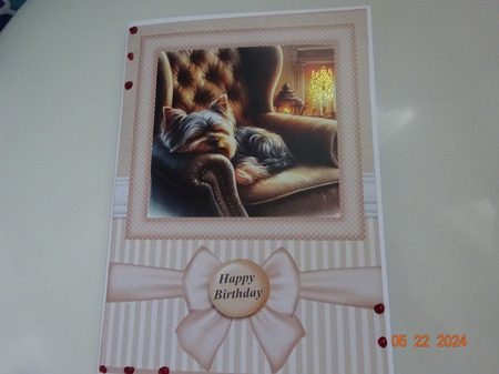 7x5(aprox) and 6x6(aprox) Im just resting my eyes card front 3 by Marion West