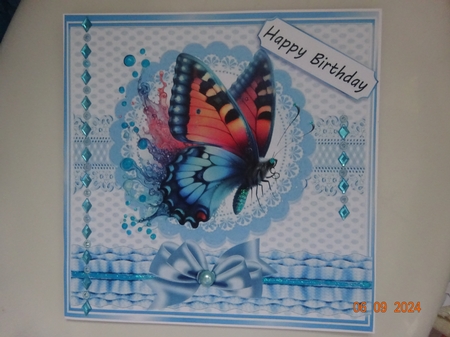 Pretty Blue Butterfly In Ornate 8x8 Frame With Satin Bow (TWO) by Marion West