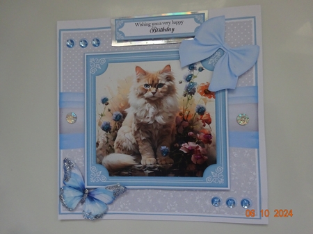 Violet Feline Dream by Marion West