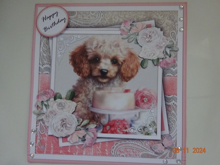 birthday poodle one by Marion West