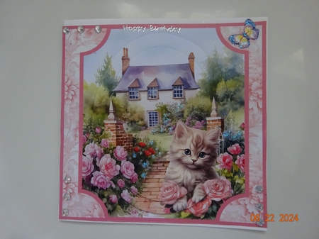 Kitten in the Cottage Rose Garden by Marion West