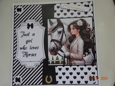 Just a girl who loves horses 8x8 by Marion West